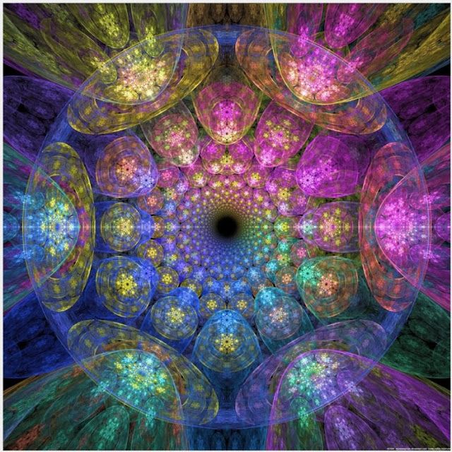 Sessions "passez le mur" avec vywamus