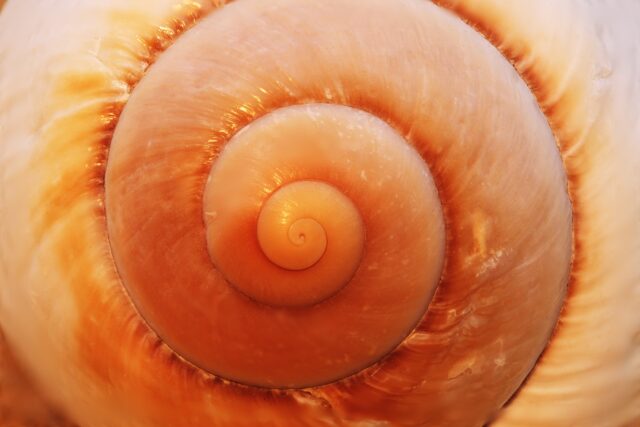 Convergence au point Zéro 16 et 17 Mai 2026